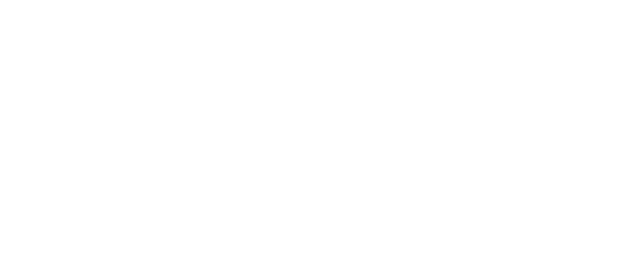 logo icon